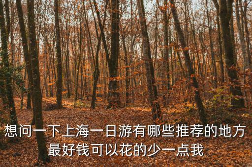 適合上海一日游的地方有哪些，想問一下上海一日游有哪些推薦的地方最好錢可以花的少一點我