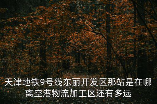 天津市東麗區(qū)9號線路線圖，天津地鐵9號線東麗開發(fā)區(qū)那站是在哪離空港物流加工區(qū)還有多遠(yuǎn)