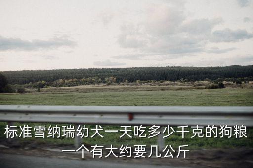 標準雪納瑞幼犬一天吃多少千克的狗糧一個有大約要幾公斤