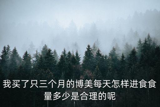 3個月博美一天吃多少，3個月博美一次吃多少