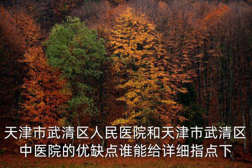 天津市武清區人民醫院和天津市武清區中醫院的優缺點誰能給詳細指點下