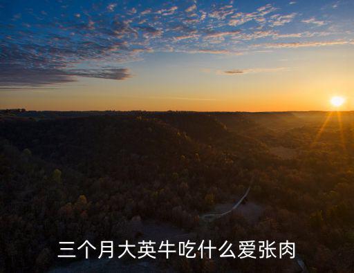 三個月斗牛一頓吃多少，問一下三個月大的小哈正常應該吃多少呢