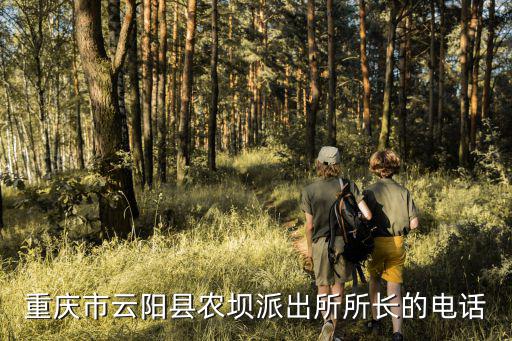 重慶市云陽(yáng)縣農(nóng)壩派出所所長(zhǎng)的電話