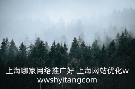 上海哪家網絡推廣好 上海網站優化wwwshyitangcom