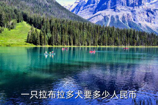 純拉布拉多價格是多少錢一只，一只拉布拉多犬要多少人民幣