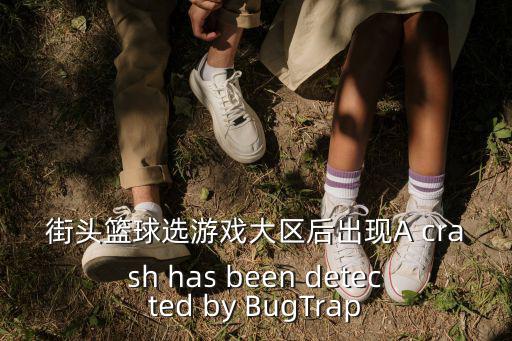 街頭籃球選游戲大區(qū)后出現(xiàn)A crash has been detected by BugTrap