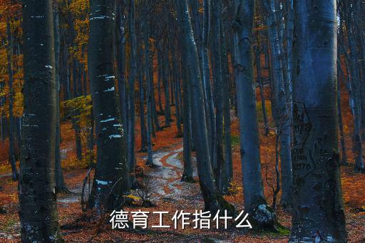 德育工作指什么