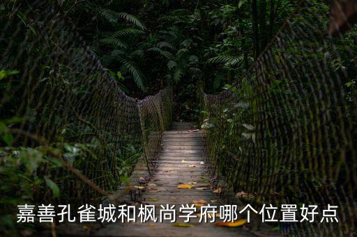 嘉善哪個地段房價好，嘉善新樓盤哪里比較好價格基本在多少