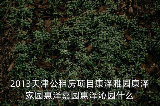 2013天津公租房項目康澤雅園康澤家園惠澤嘉園惠澤沁園什么