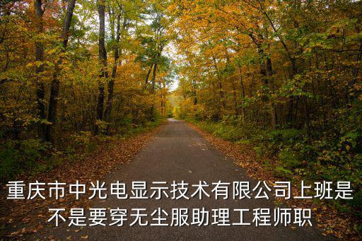 重慶市中光電顯示技術(shù)有限公司上班是不是要穿無塵服助理工程師職