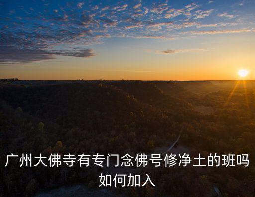 廣州大佛寺有專門念佛號修凈土的班嗎如何加入
