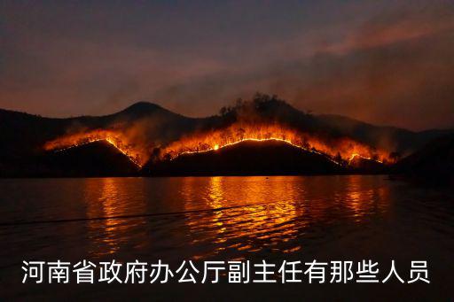 河南省政府辦公廳副主任有那些人員