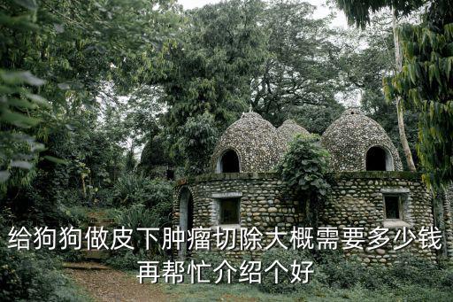給狗狗做皮下腫瘤切除大概需要多少錢再幫忙介紹個好