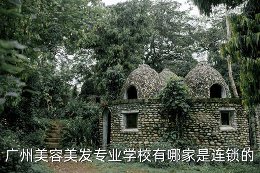 廣州美容美發專業學校有哪家是連鎖的