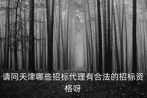 請問天津哪些招標(biāo)代理有合法的招標(biāo)資格呀