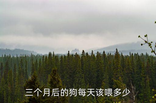 三個(gè)月后的狗每天該喂多少