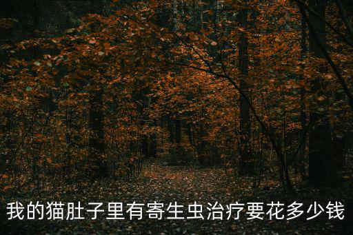 我的貓肚子里有寄生蟲治療要花多少錢