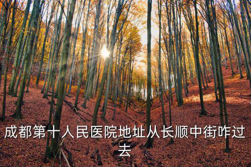 成都第十人民醫院地址從長順中街咋過去