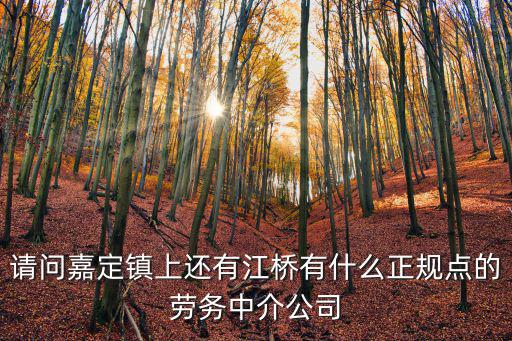 請問嘉定鎮上還有江橋有什么正規點的勞務中介公司