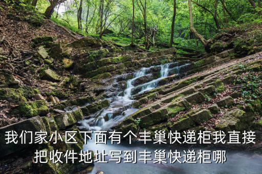 我們家小區下面有個豐巢快遞柜我直接把收件地址寫到豐巢快遞柜哪