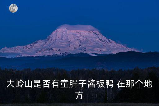 大嶺山是否有童胖子醬板鴨 在那個地方