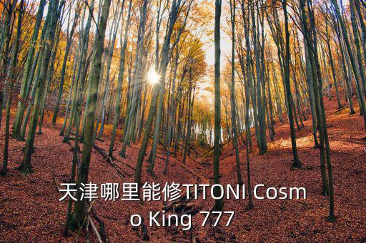 天津哪里能修TITONI Cosmo King 777