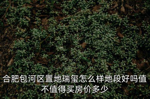 合肥包河區置地瑞璽怎么樣地段好嗎值不值得買房價多少