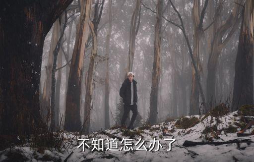 不知道怎么辦了