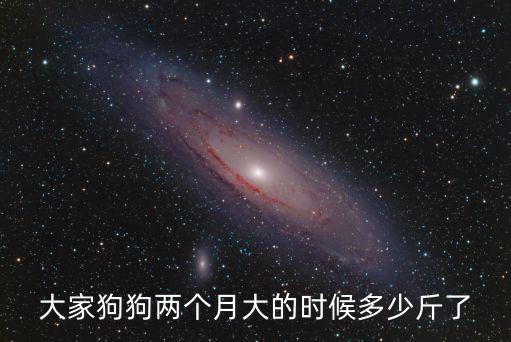 2個多月博美正常體重多少錢，小博美在幾斤才算正常
