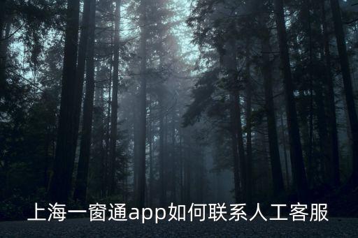 上海一窗通app如何聯(lián)系人工客服