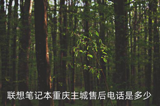 聯(lián)想筆記本重慶主城售后電話是多少