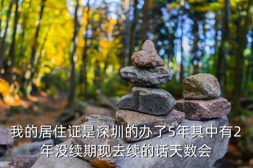 2002年深圳懲防體系，什么是懲防體系