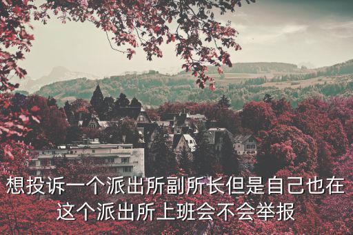 天津市局政治處督察組，怎樣 追究刑警篡改口供的責任走什么程序