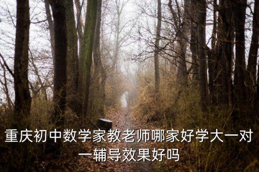 重慶初中數學家教老師哪家好學大一對一輔導效果好嗎