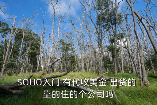 SOHO入門 有代收美金 出貨的 靠的住的個(gè)公司嗎