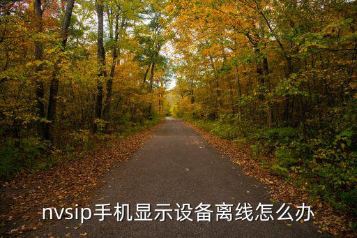 nvsip手機(jī)顯示設(shè)備離線怎么辦