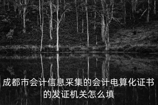 成都市會計信息采集的會計電算化證書的發證機關怎么填