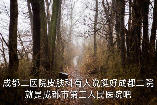 成都二醫院皮膚科有人說挺好成都二院就是成都市第二人民醫院吧