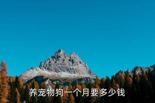 養(yǎng)寵物狗一個(gè)月要多少錢