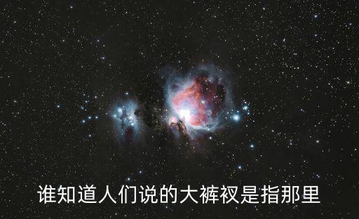 誰知道人們說的大褲衩是指那里