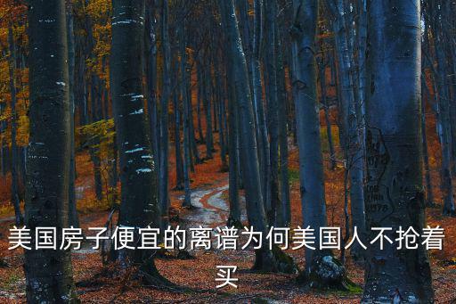 美國房子便宜的離譜為何美國人不搶著買