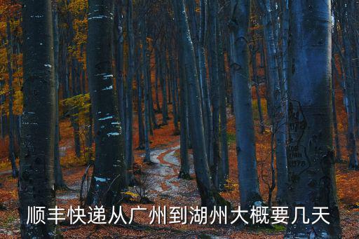 順豐快遞從廣州到湖州大概要幾天