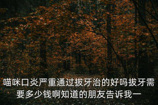 喵咪口炎嚴重通過拔牙治的好嗎拔牙需要多少錢啊知道的朋友告訴我一