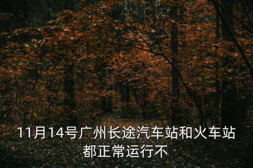 11月14號廣州長途汽車站和火車站都正常運行不