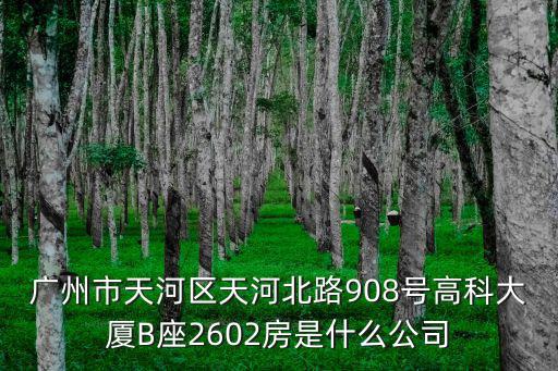 廣州市天河區天河北路908號高科大廈B座2602房是什么公司