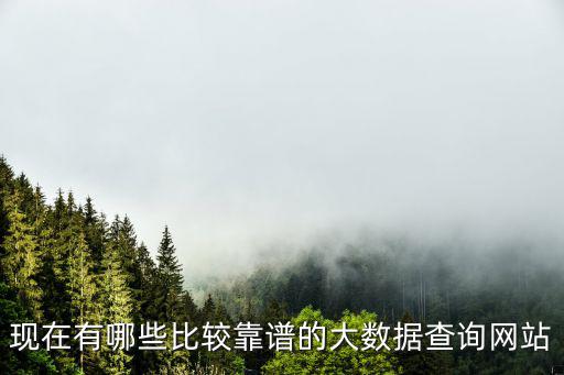 現在有哪些比較靠譜的大數據查詢網站