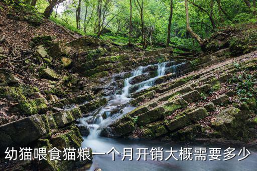 幼貓喂食貓糧一個(gè)月開銷大概需要多少