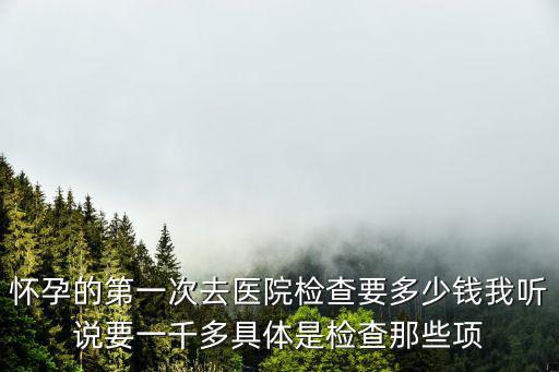 懷孕的第一次去醫院檢查要多少錢我聽說要一千多具體是檢查那些項