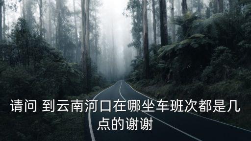 請問 到云南河口在哪坐車班次都是幾點的謝謝