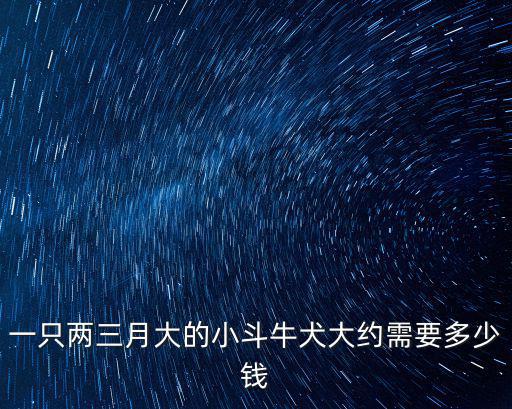 一只兩三月大的小斗牛犬大約需要多少錢
